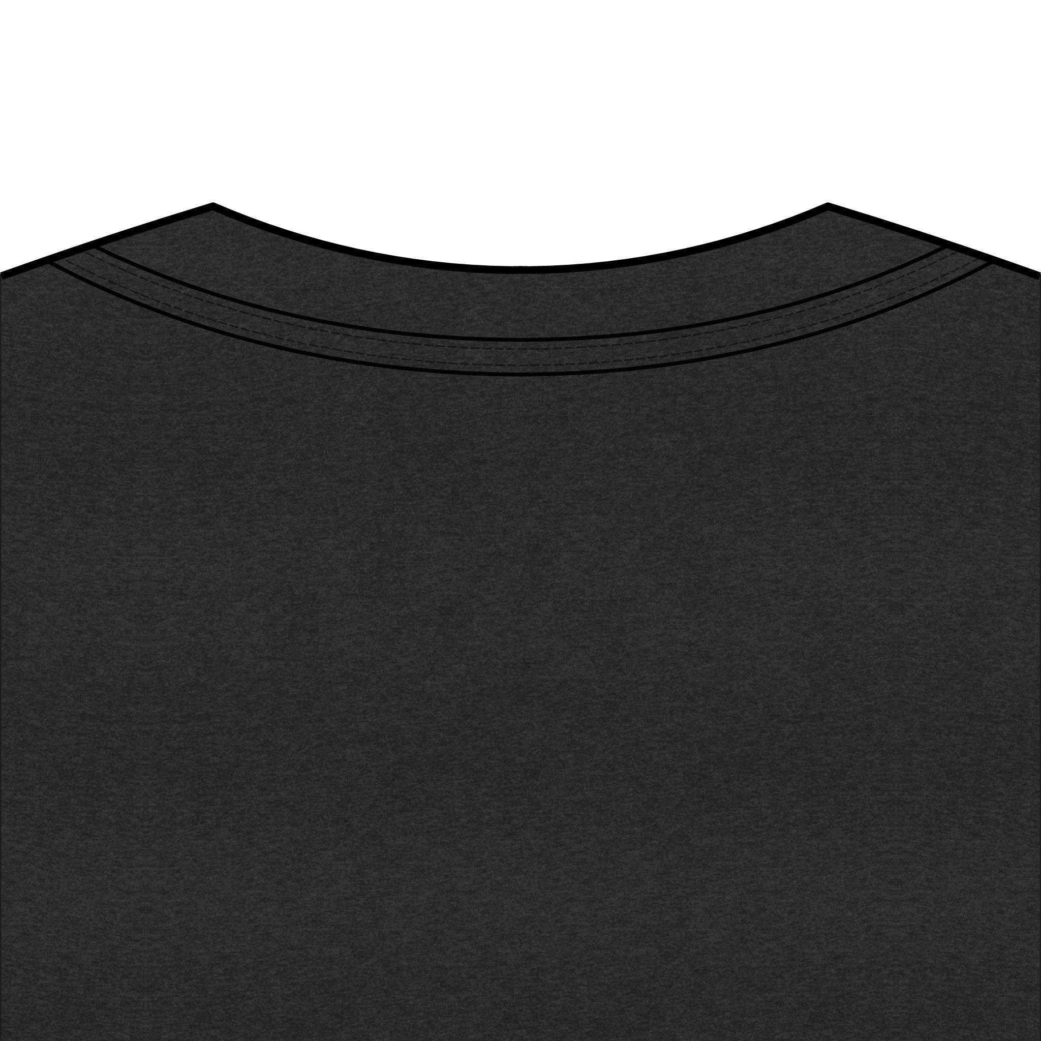 Southern Pawlished V-Neck Tee — "Southern Raised, Fur-baby Crazed"